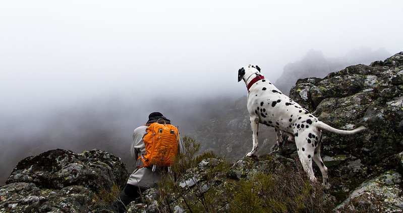 26211753863 829706c80b C Compressed