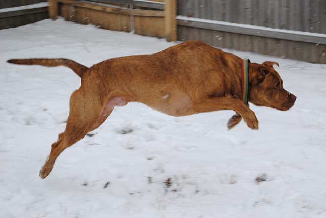 Ibex: Análisis técnico 18 diciembre 2017 4222379153 Be6a634a05 Z Compressed