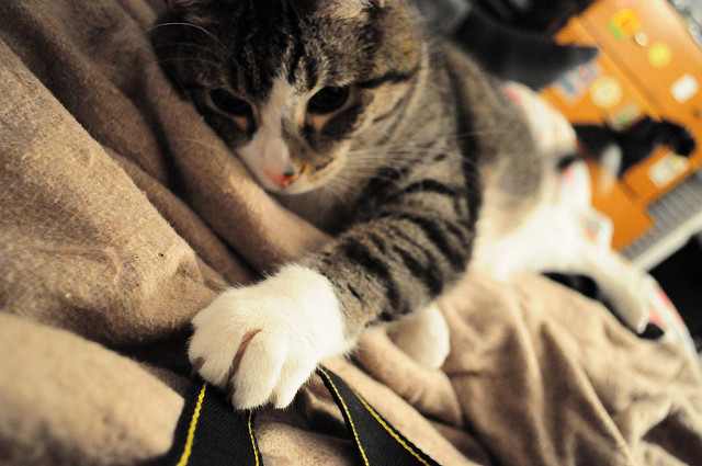 Ibex: Análisis técnico 13 diciembre 2017