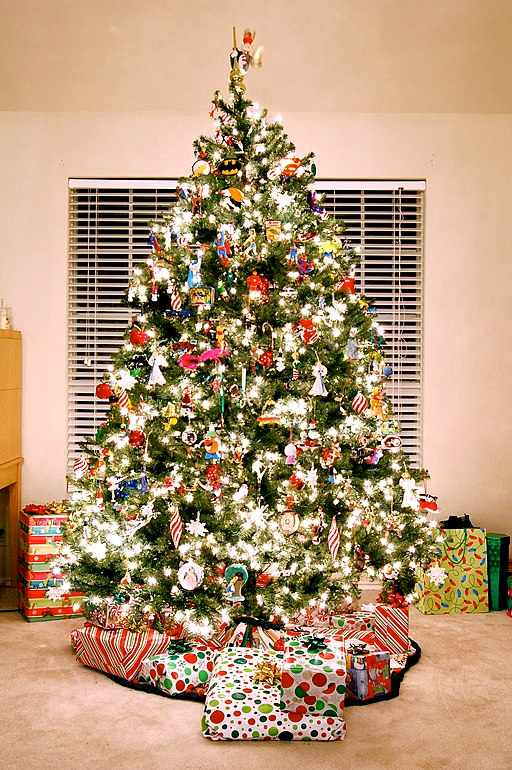 ¡Feliz Navidad! Feliz Navidad